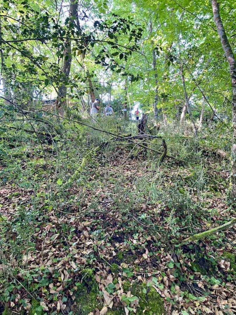 IMG_4105 - Grande.jpeg