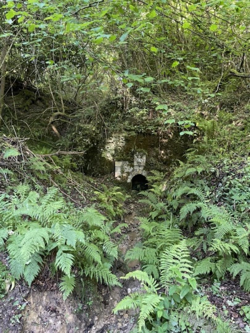 IMG_4099 - Grande.jpeg