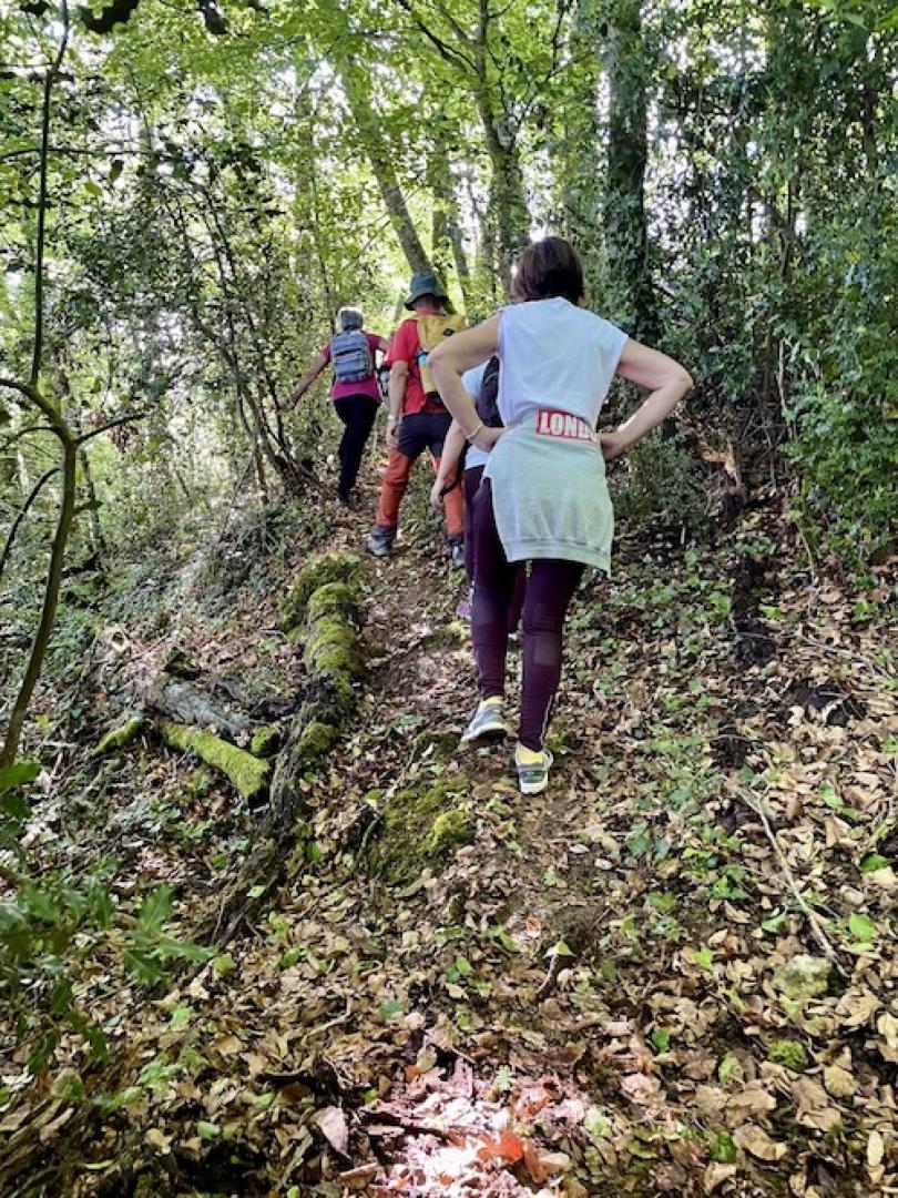 IMG_4101 - Grande.jpeg